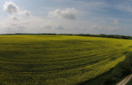 Rabsfeld irgend wo in Mecklenburg Vorpommern